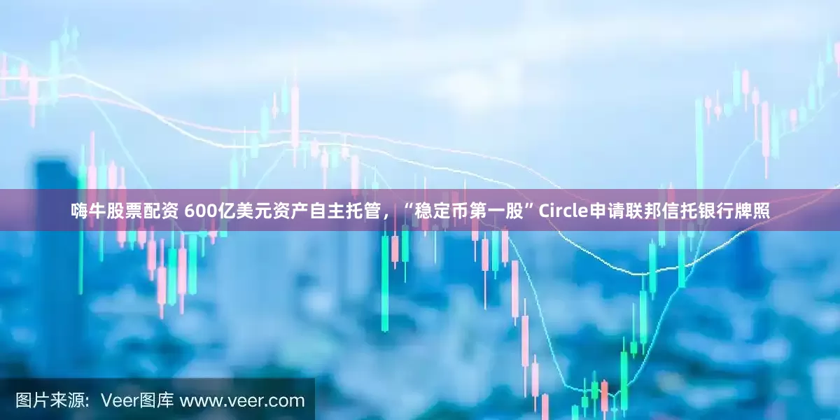 嗨牛股票配资 600亿美元资产自主托管，“稳定币第一股”Circle申请联邦信托银行牌照
