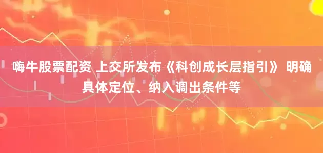 嗨牛股票配资 上交所发布《科创成长层指引》 明确具体定位、纳入调出条件等