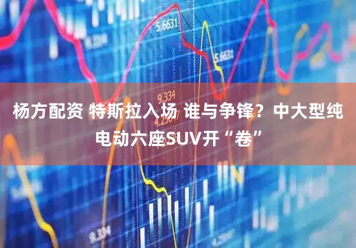 杨方配资 特斯拉入场 谁与争锋？中大型纯电动六座SUV开“卷”