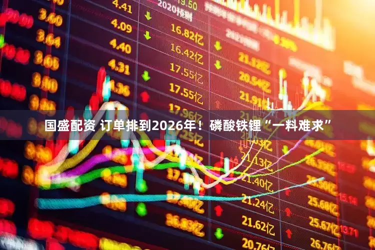 国盛配资 订单排到2026年！磷酸铁锂“一料难求”