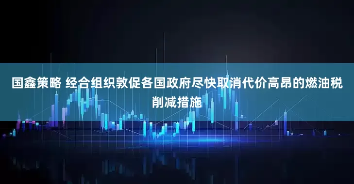 国鑫策略 经合组织敦促各国政府尽快取消代价高昂的燃油税削减措施