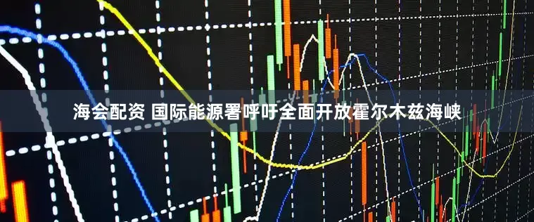 海会配资 国际能源署呼吁全面开放霍尔木兹海峡